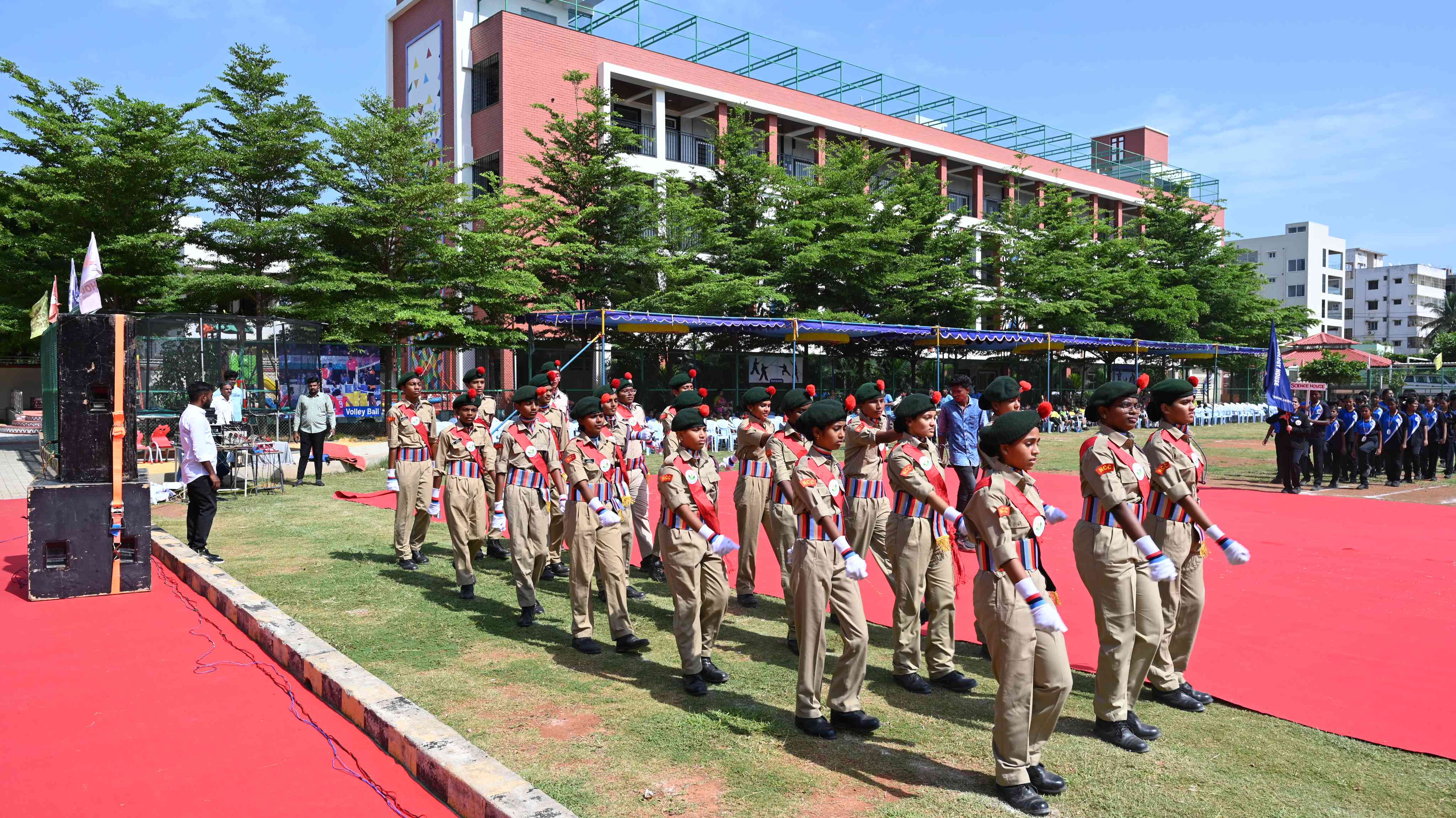 Stem School