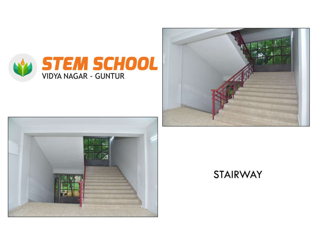 Stem School